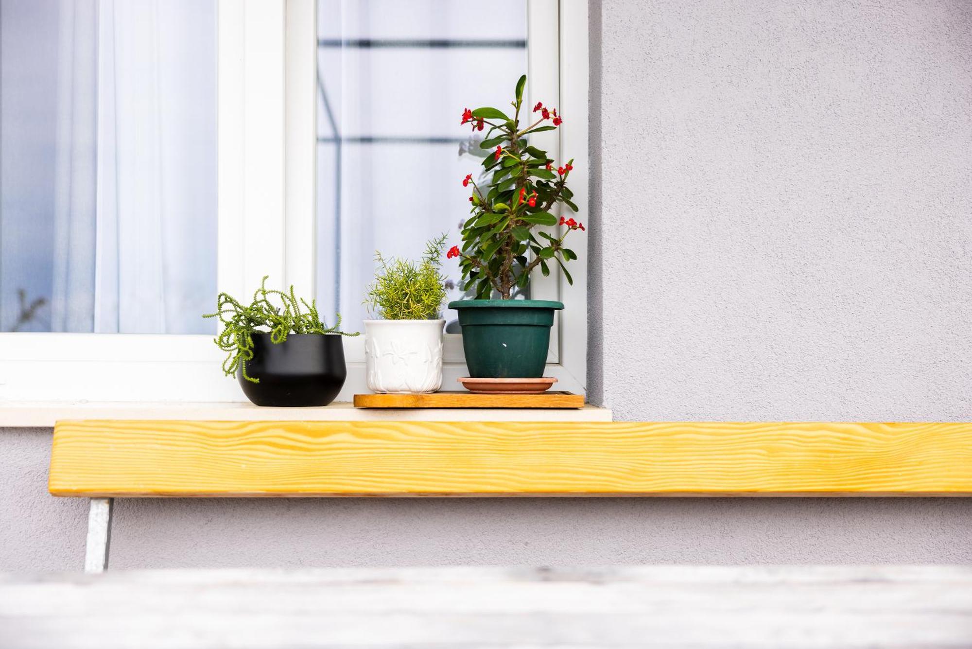 Apartman Nora 오미스 외부 사진